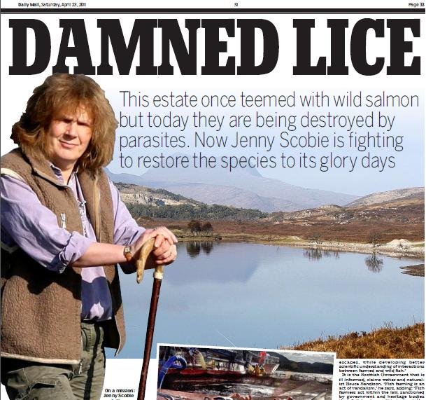 Jenny Scobie Jenny Scobie