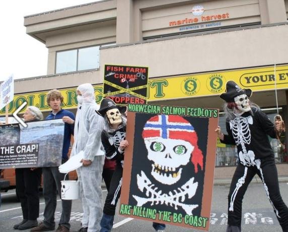 Marine Harvest protest Marine Harvest protest