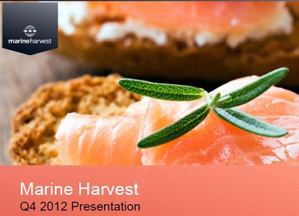 MH Q4 2012 presentation #2 MH Q4 2012 presentation #2