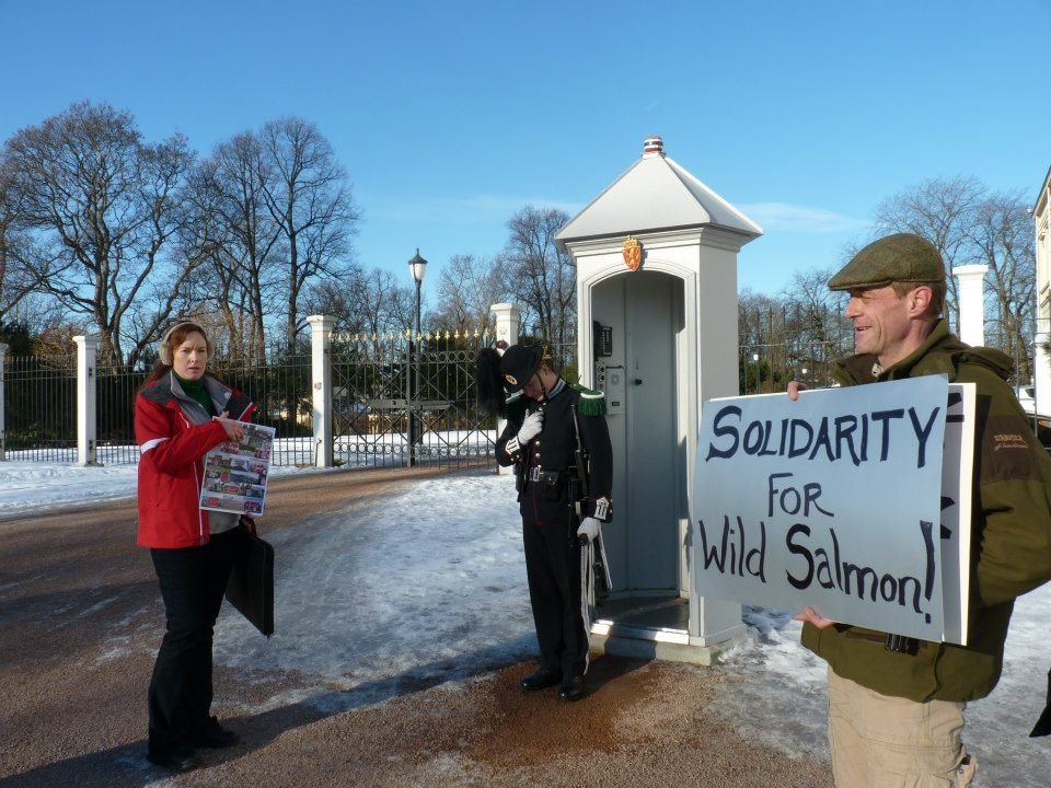 Elena delivering letter to Royal Palace