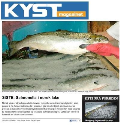 Kyst on salmonella Kyst on salmonella