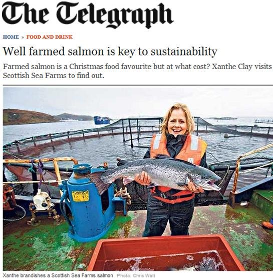 Scottish sea farms #14 Telegraph Scottish sea farms #14 Telegraph