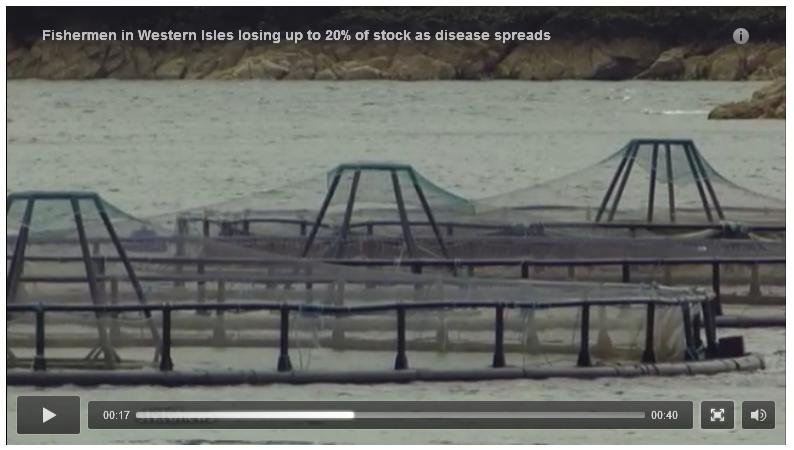 STV News on AGD Oct 2012 STV News on AGD Oct 2012