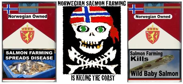 3 pack killing the coast disease sea lice 3 pack killing the coast disease sea lice