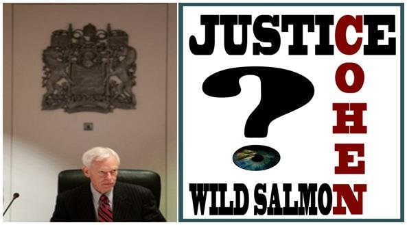 Cohen Justice Cohen Justice