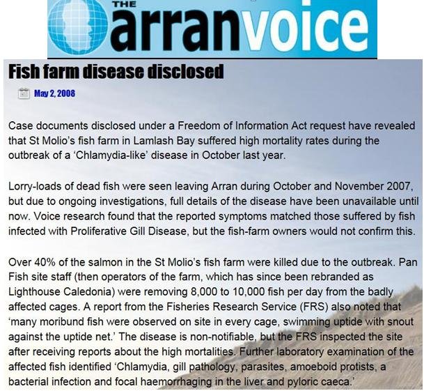 Arran Voice May 2 2008 #1 Arran Voice May 2 2008 #1
