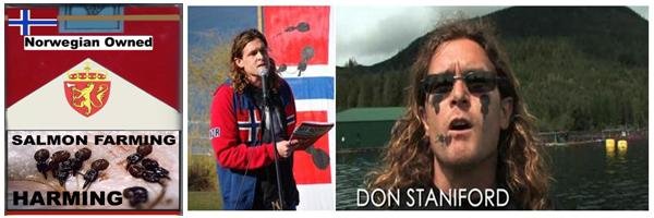 Don salmon harming sea lice Don salmon harming sea lice