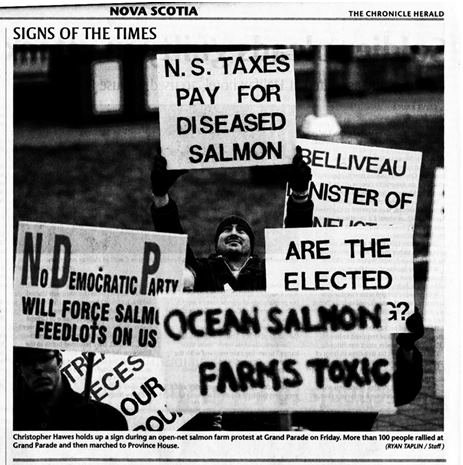 Chronicle Herald Nova Scotia Chronicle Herald Nova Scotia