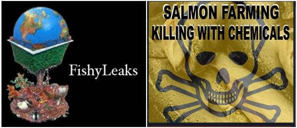 FishyLeaks with chemicals FishyLeaks with chemicals