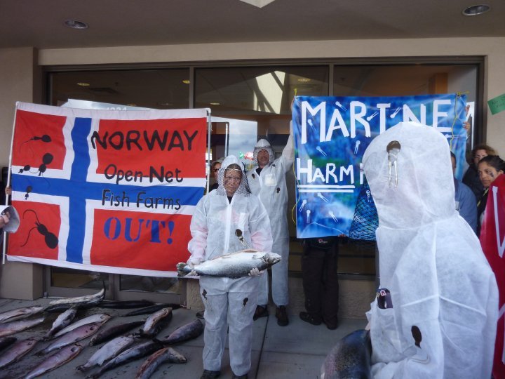 Marine Harmfest Marine Harmfest