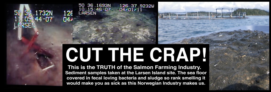 Cut the Crap banner Cut the Crap banner