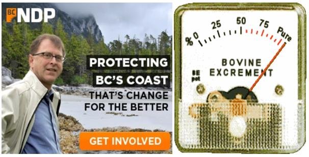 NDP protect coast bovine NDP protect coast bovine