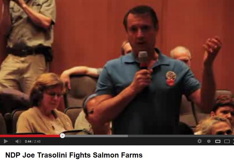 NDP Trasoli video #2 NDP Trasoli video #2