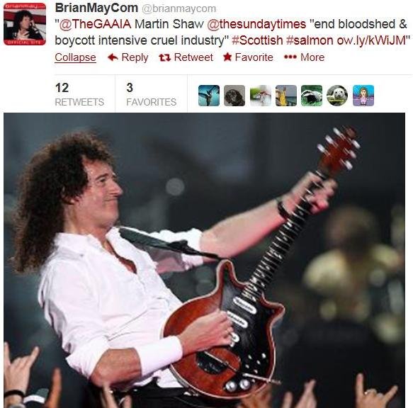 Brian May Tweet on seals with photo Brian May Tweet on seals with photo
