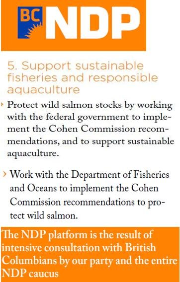 NDP plan 2013 NDP plan 2013