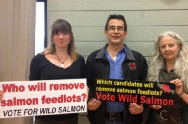 Vote wild salmon which candidates Vote wild salmon which candidates