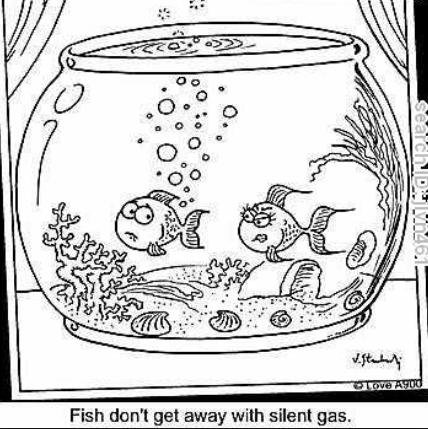 Silent but deadly fish #2 Silent but deadly fish #2