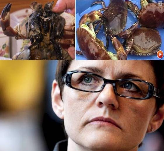 Lisbeth crab #1 Lisbeth crab #1