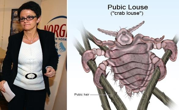 Lisbeth crab #2 Lisbeth crab #2