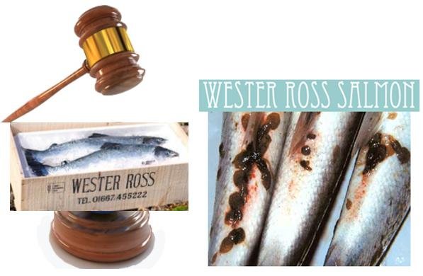 Wester Ross Salmon legal graphic Wester Ross Salmon legal graphic