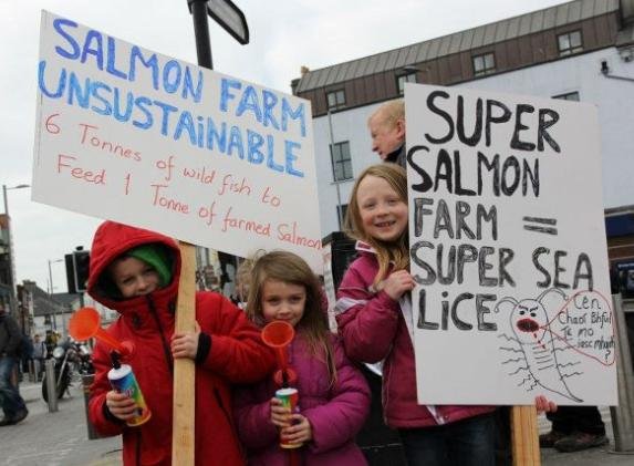 Super size salmon photo kids Ireland Super size salmon photo kids Ireland