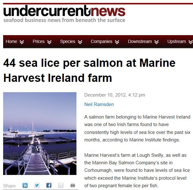 MH sea lice Ireland MH sea lice Ireland