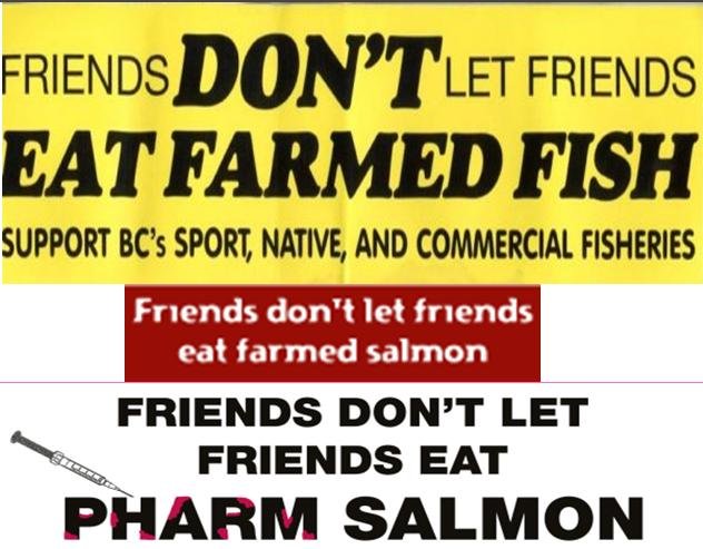 Friends Don't Let Friends collection Friends Don't Let Friends collection