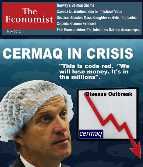Cermaq in crisis #1 Cermaq in crisis #1