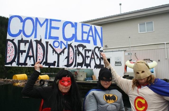 Cermaq come clean Cermaq come clean