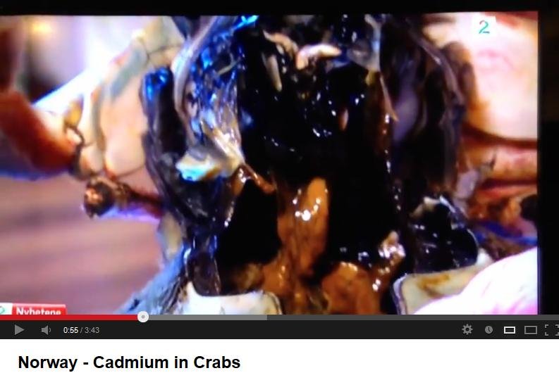 TV2 crabs #4 TV2 TV2 crabs #4 TV2