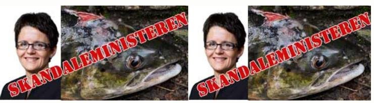 Lisbeth Berg-Hansen scandal Lisbeth Berg-Hansen scandal