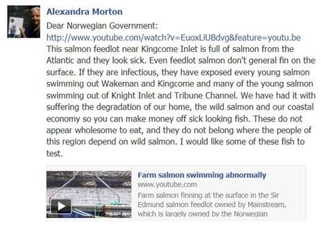 Alex to Norwegian Government Alex to Norwegian Government