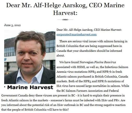 Alex to Alf Helge Alex to Alf Helge