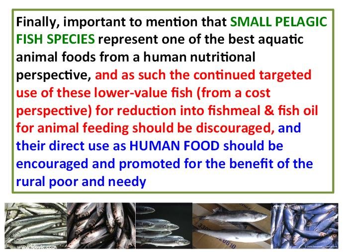 Tacon conclusion 2012 Tacon conclusion 2012