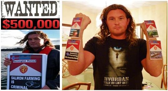 Don wanted and packets Don wanted and packets