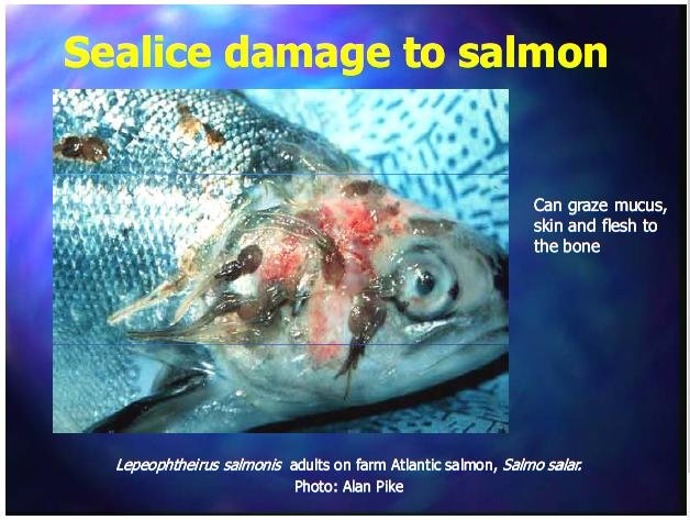 Costello Feb 2014 talk #3 Costello Feb 2014 talk #3