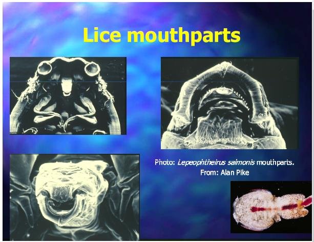 Costello Feb 2014 talk #4 Costello Feb 2014 talk #4