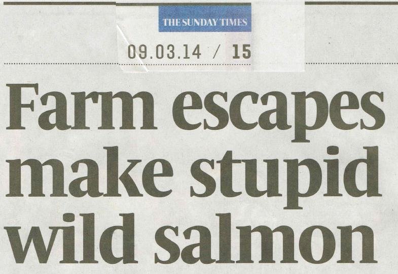 Sunday Times 9 March 2014 #1 headline Sunday Times 9 March 2014 #1 headline