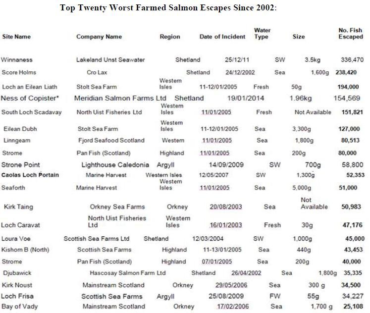 Scottish Salmon's Great Escape PR 20 March 2014 intro snapshot #3 top 20 worst escapes Scottish Salmon's Great Escape PR 20 March 2014 intro snapshot #3 top 20 worst escapes