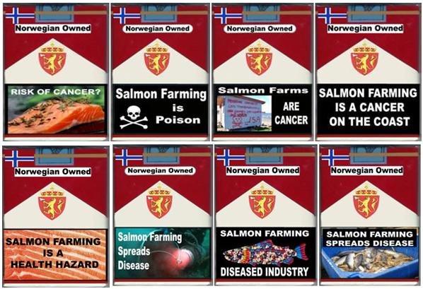 8 pack health and diseases 8 pack health and diseases