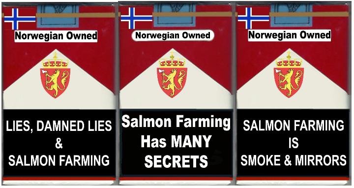 3 pack secrets & lies 3 pack secrets & lies