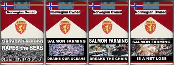 4 pack net loss 4 pack net loss