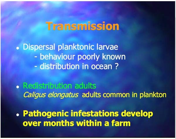 Costello Feb 2014 talk #8 Costello Feb 2014 talk #8