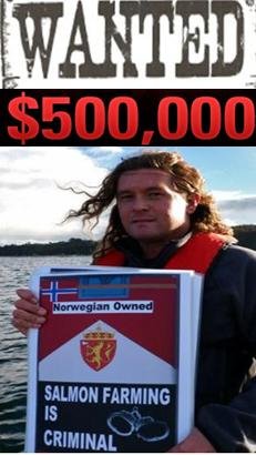 Wanted Don $500,000 Wanted Don $500,000