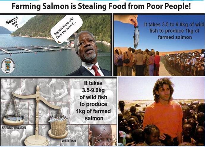 EESC slide #11 EESC slide #11