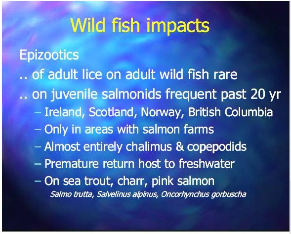 Costello Feb 2014 talk #17 Costello Feb 2014 talk #17