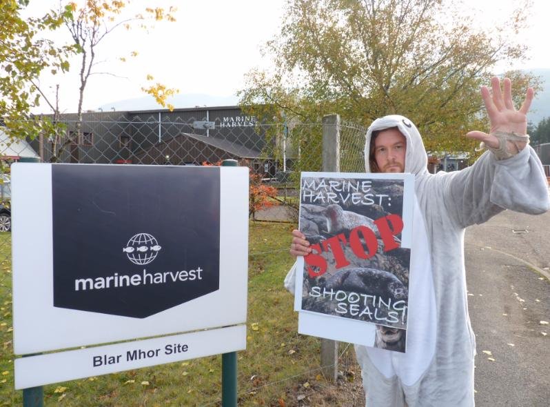 Photo #3 Don at MH processing plant Stop shooting seals sign Photo #3 Don at MH processing plant Stop shooting seals sign