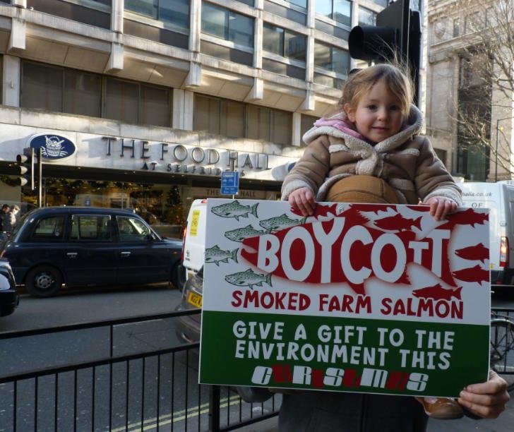 Money shot #1 e Money shot #1 e