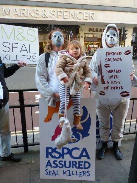 Money shot #1 g Money shot #1 g