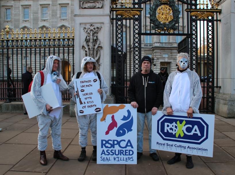 Money shot #1 b Money shot #1 b